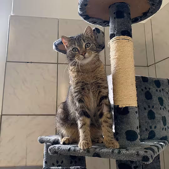 Foto von Vito & Ludmilla
