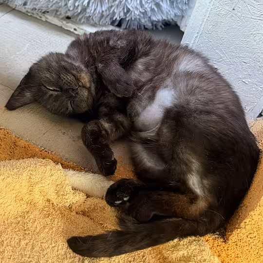 Foto von Malu