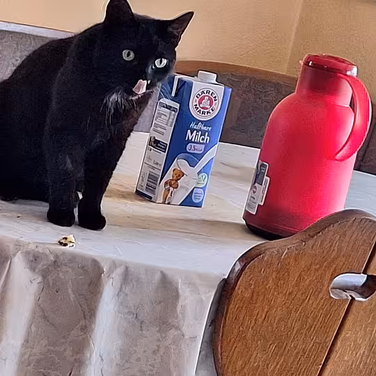 Foto von Gabi und Garry