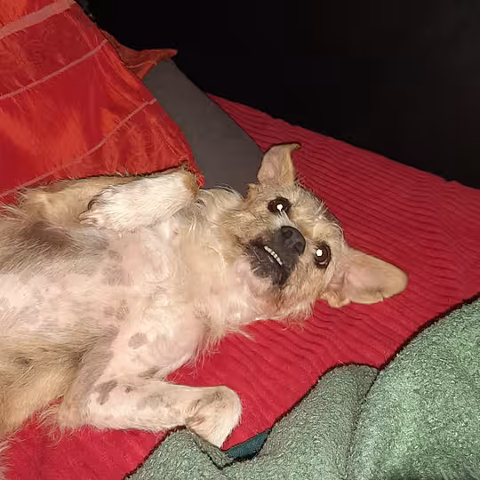 Foto von Suna