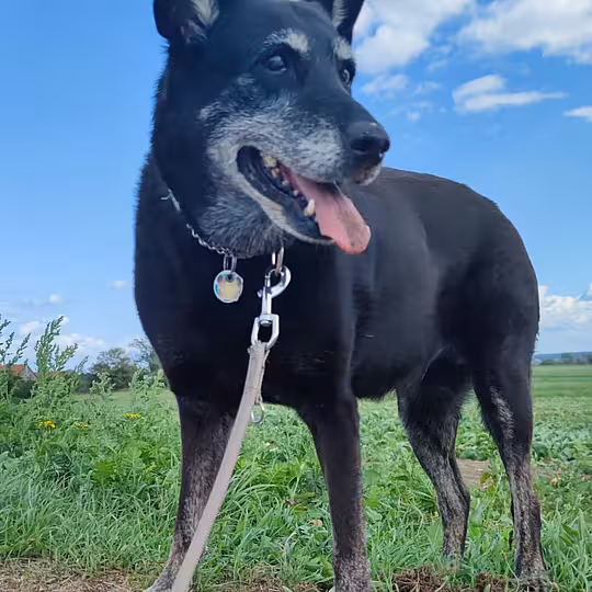 Foto von Emma