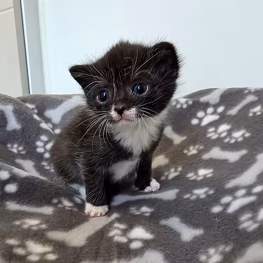 Foto von Isla & Zeynep