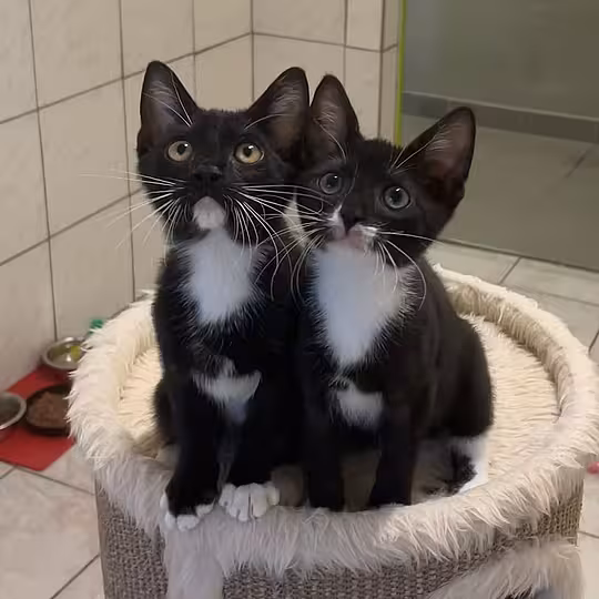Foto von Isla & Zeynep