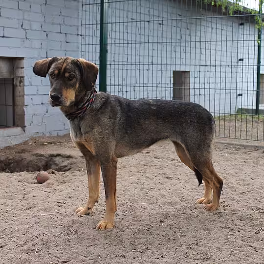 Foto von Ana