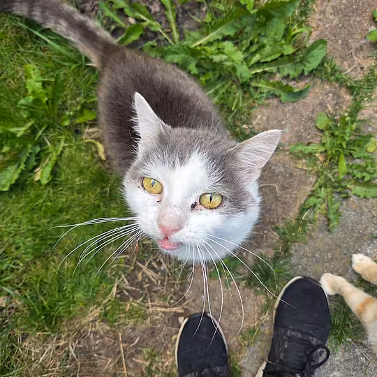 Foto von Teddy