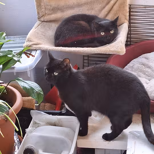 Foto von Gabi und Garry