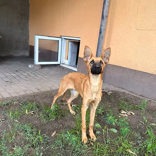 Foto von Rio