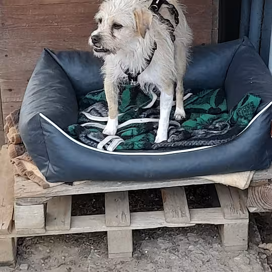 Foto von Suna