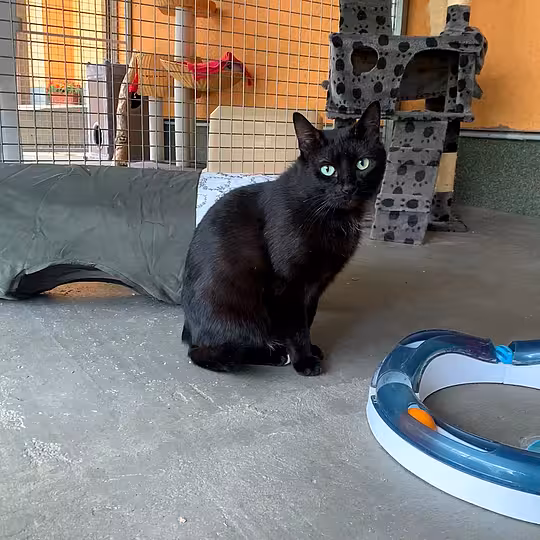 Foto von Arlo
