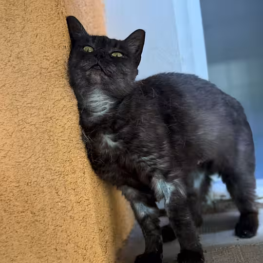 Foto von Malu
