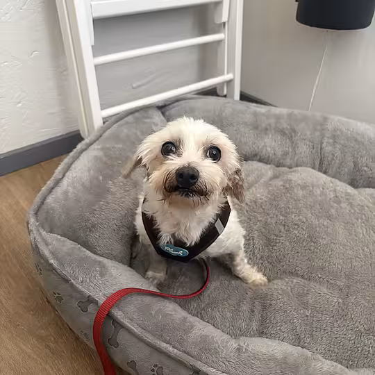 Foto von Trudi