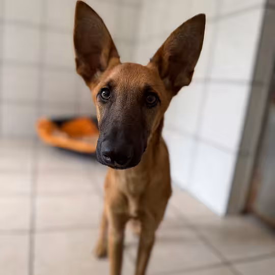 Foto von Rio