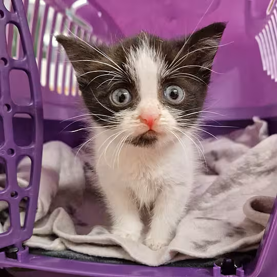 Foto von Emmi