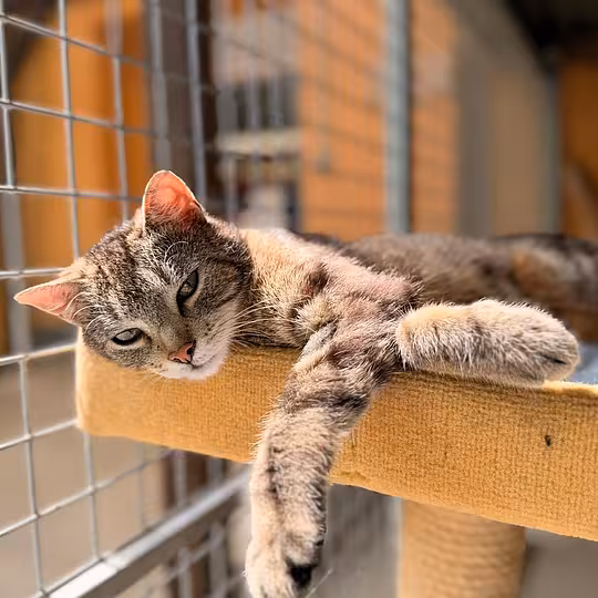 Foto von Vito & Ludmilla