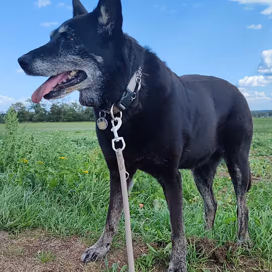 Foto von Emma