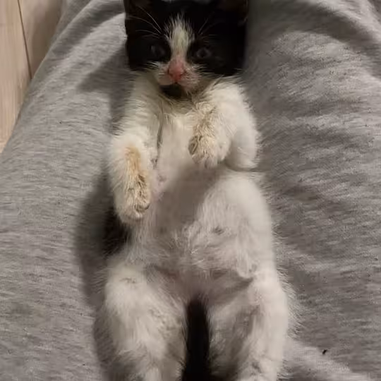 Foto von Emmi