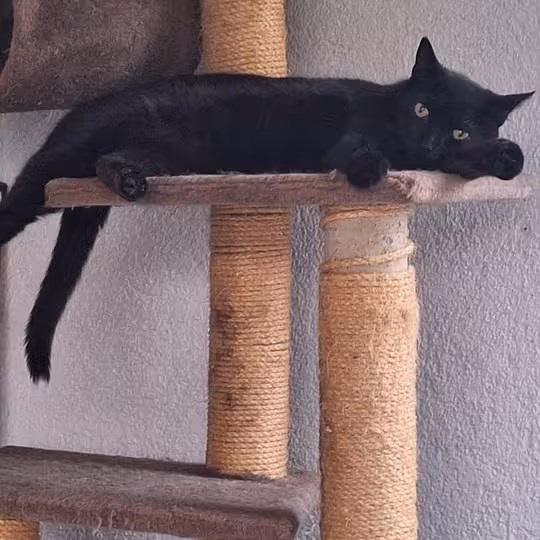 Foto von Gabi und Garry
