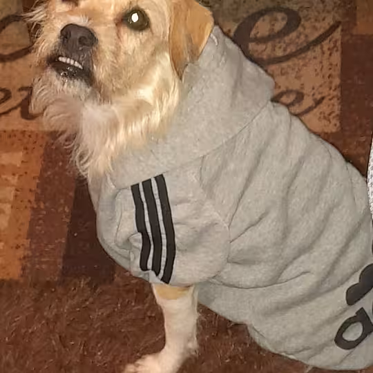 Foto von Suna