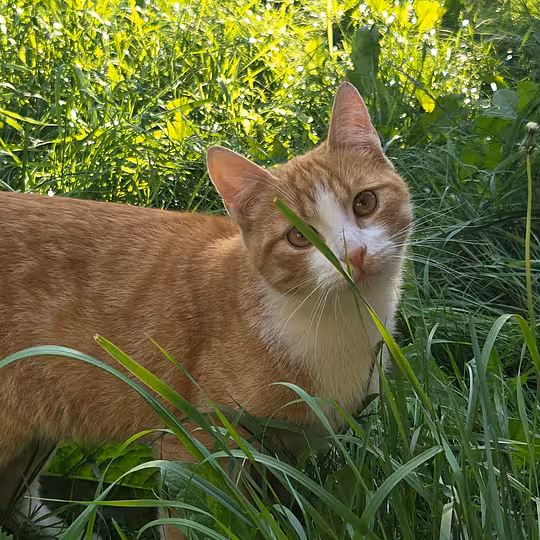 Foto von Isaac