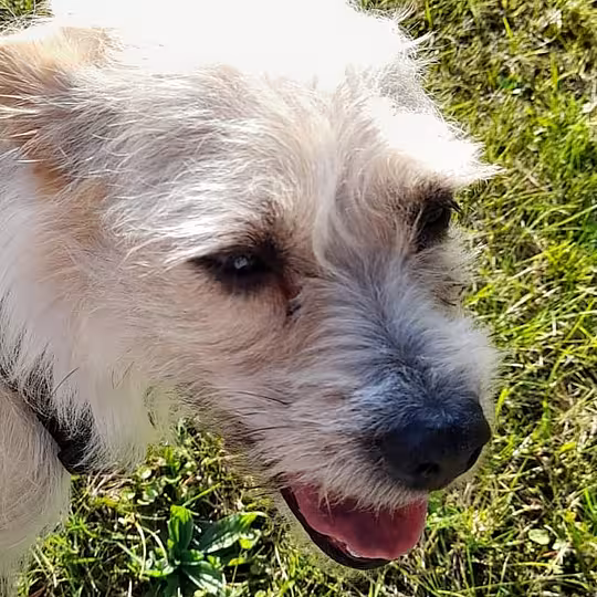 Foto von Suna