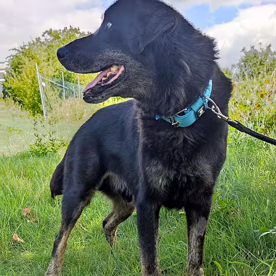 Foto von Tayson