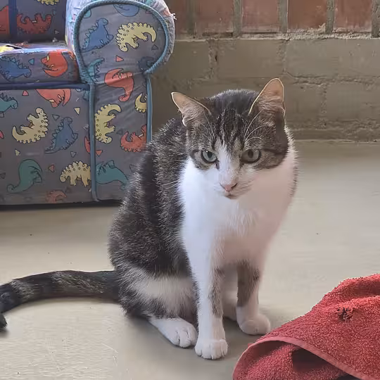 Foto von Ernie