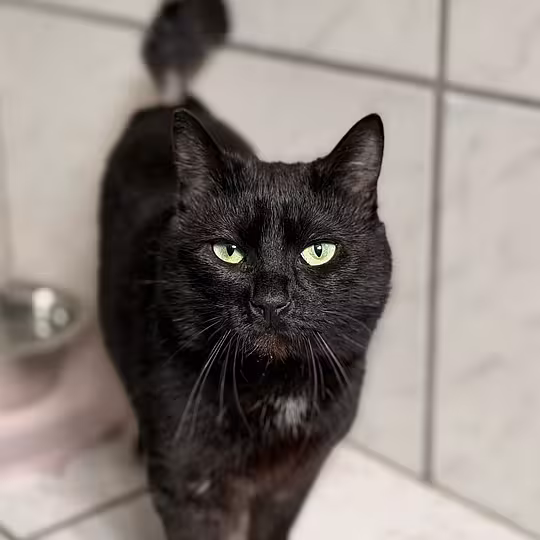 Foto von Arlo
