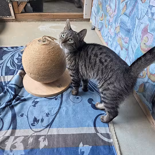 Foto von Luna