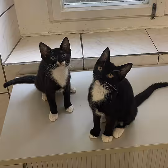 Foto von Isla & Zeynep