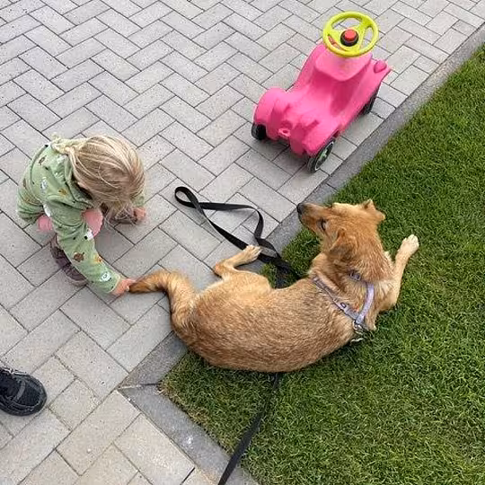 Foto von Malou