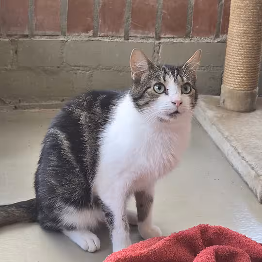 Foto von Ernie