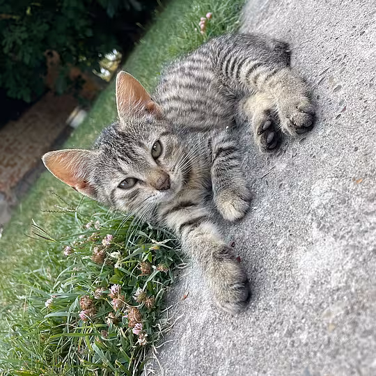 Foto von Snupi und Nadia