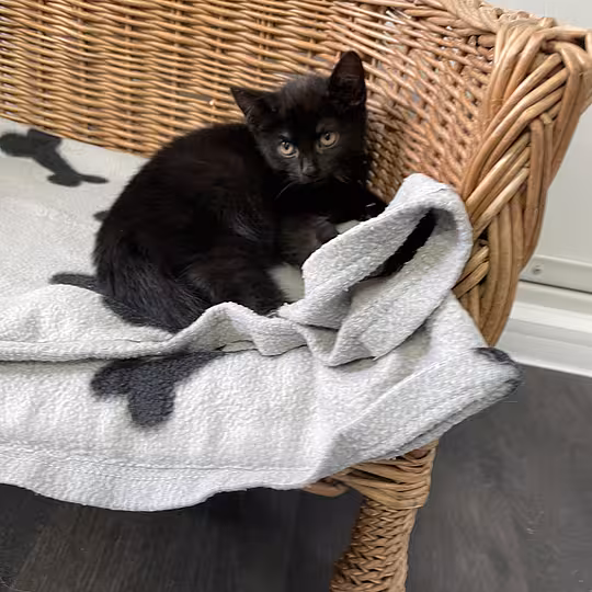 Foto von Gladys