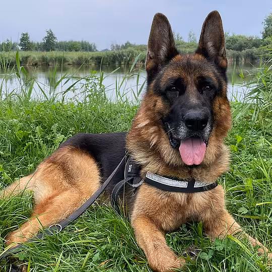 Foto von Bill