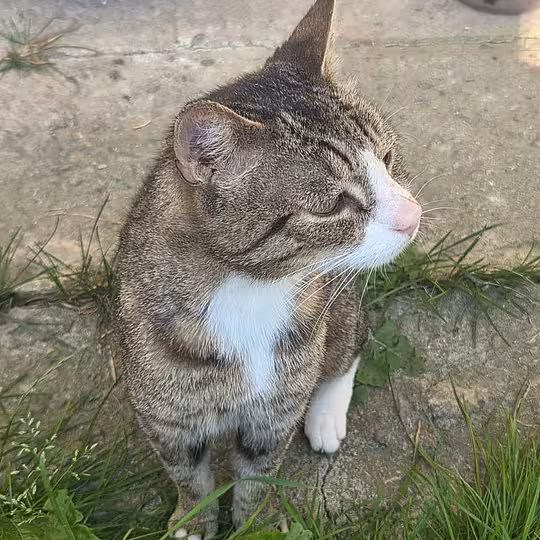 Foto von Frank (Frääänk)