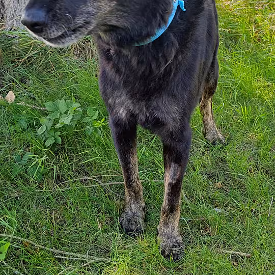 Foto von Tayson