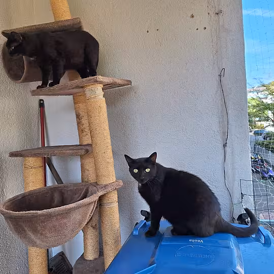 Foto von Gabi und Garry