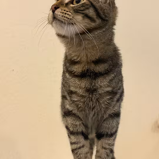 Foto von Sammy