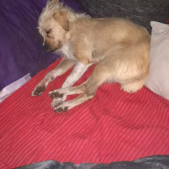 Foto von Suna