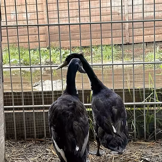 Foto von Jochen und Carsten 