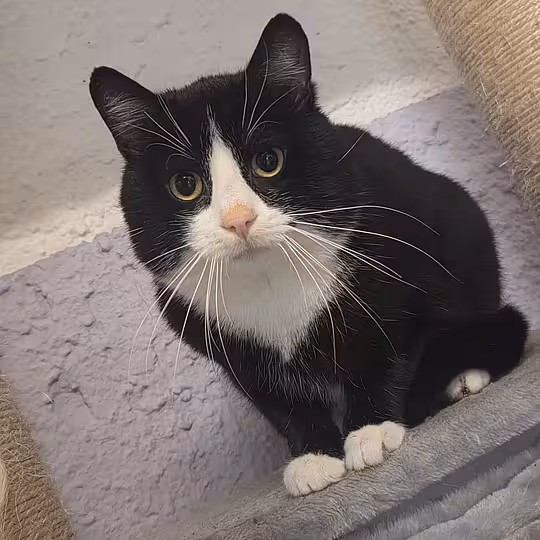 Foto von Sascha