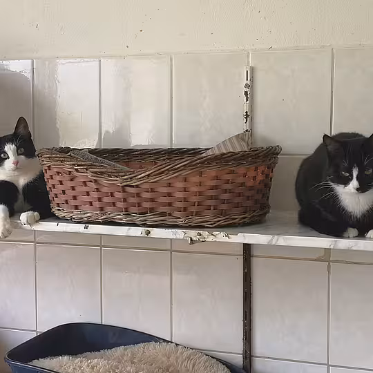 Foto von Lotto und Kaya