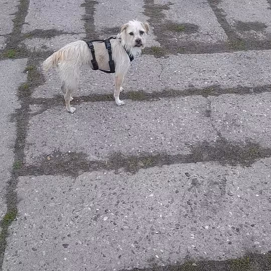 Foto von Suna