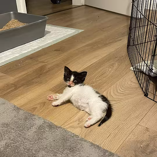 Foto von Emmi