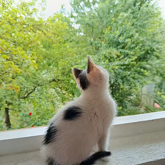 Foto von Snupi und Nadia