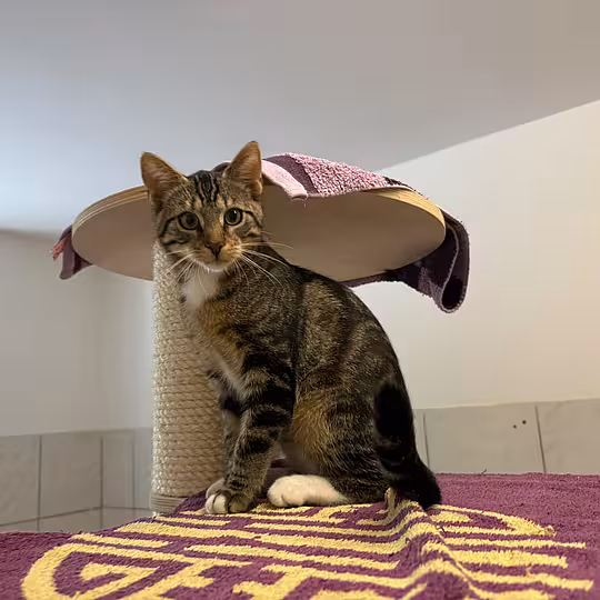 Foto von Winston & Preston