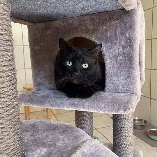 Foto von Arlo