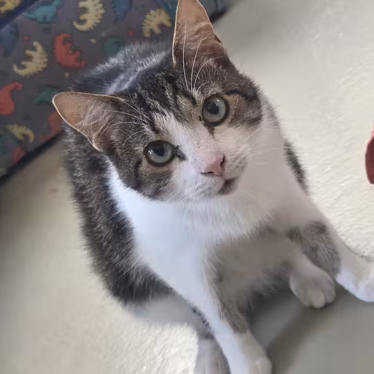 Foto von Ernie