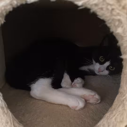 Foto von Felia & Nerina