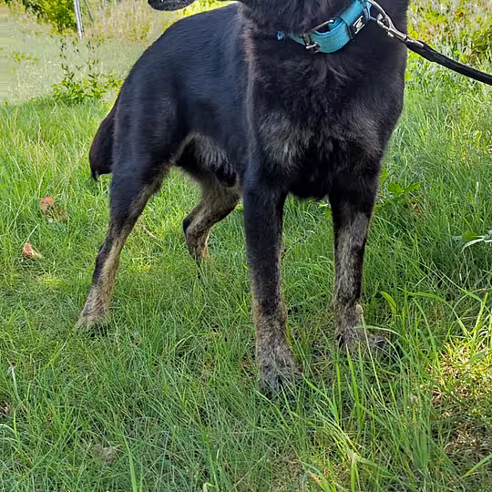 Foto von Tayson